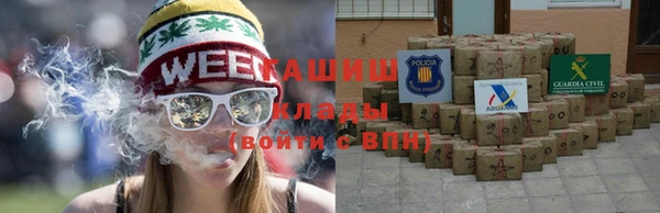 мдпв Горнозаводск