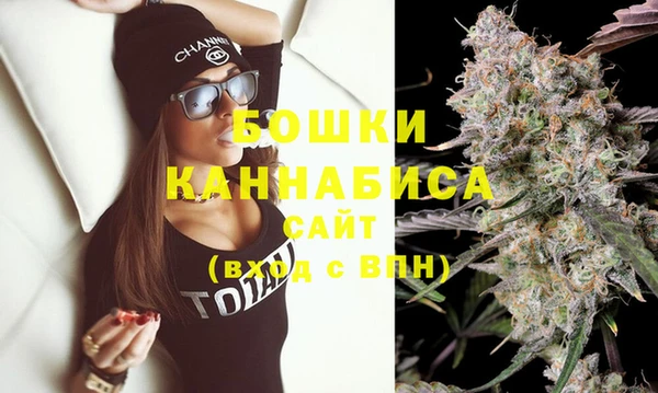 мдпв Горнозаводск
