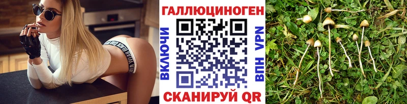Купить где  Нефтекумск  Галлюциногенные грибы мухоморы 